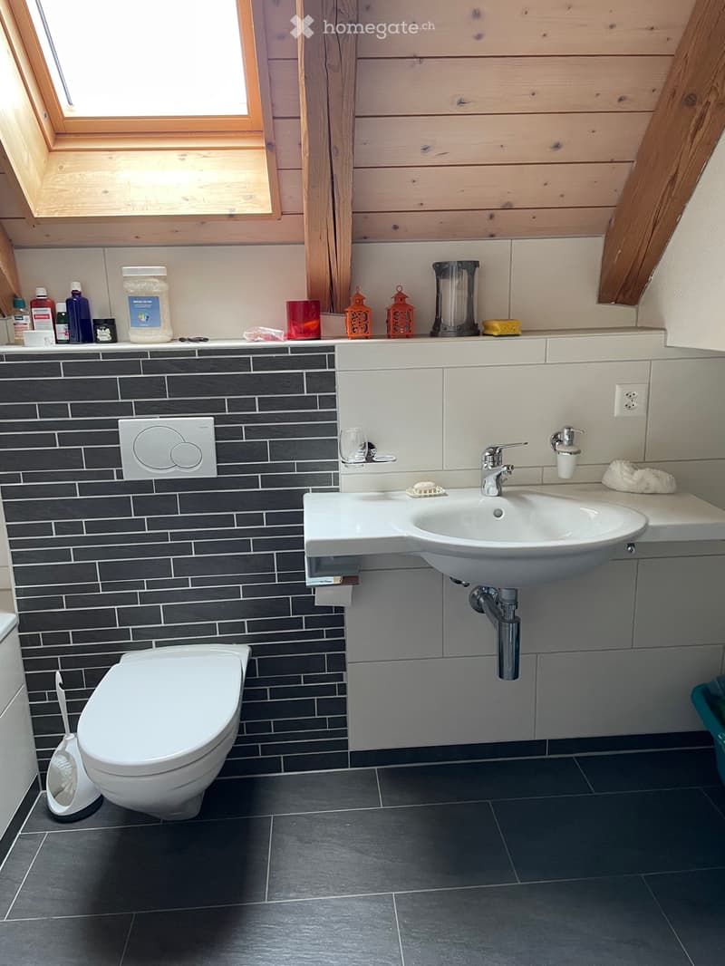 Dachwohnung in Bauernhaus (5)