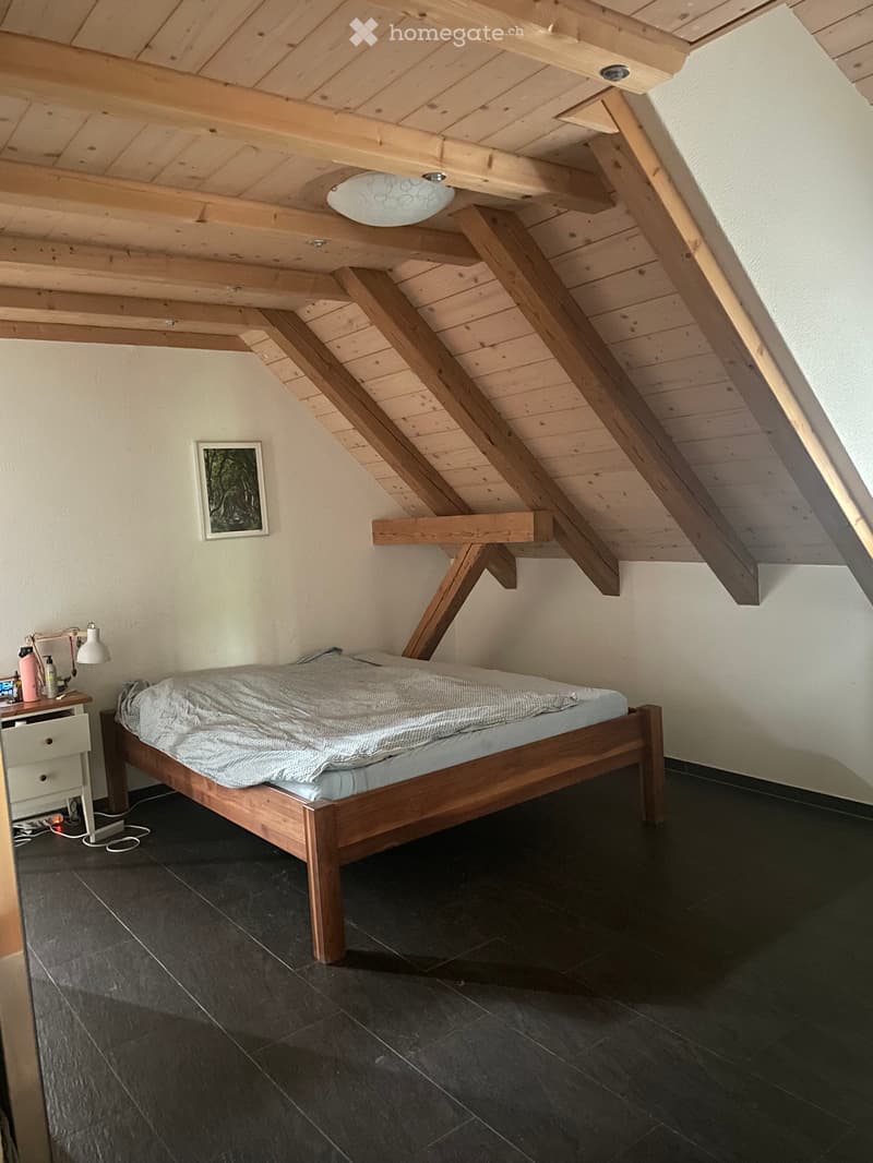 Dachwohnung in Bauernhaus (4)