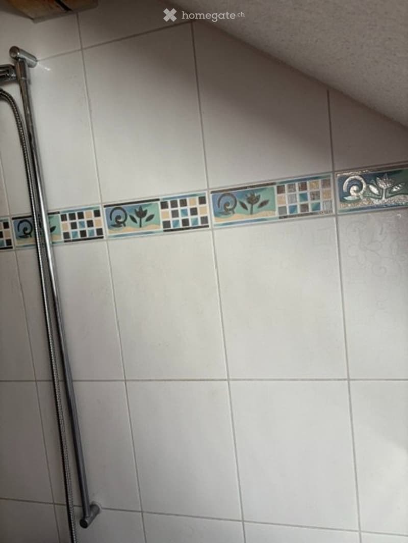 zu vermieten charmante, spezielle 3 Zimmer-Wohnung (5)