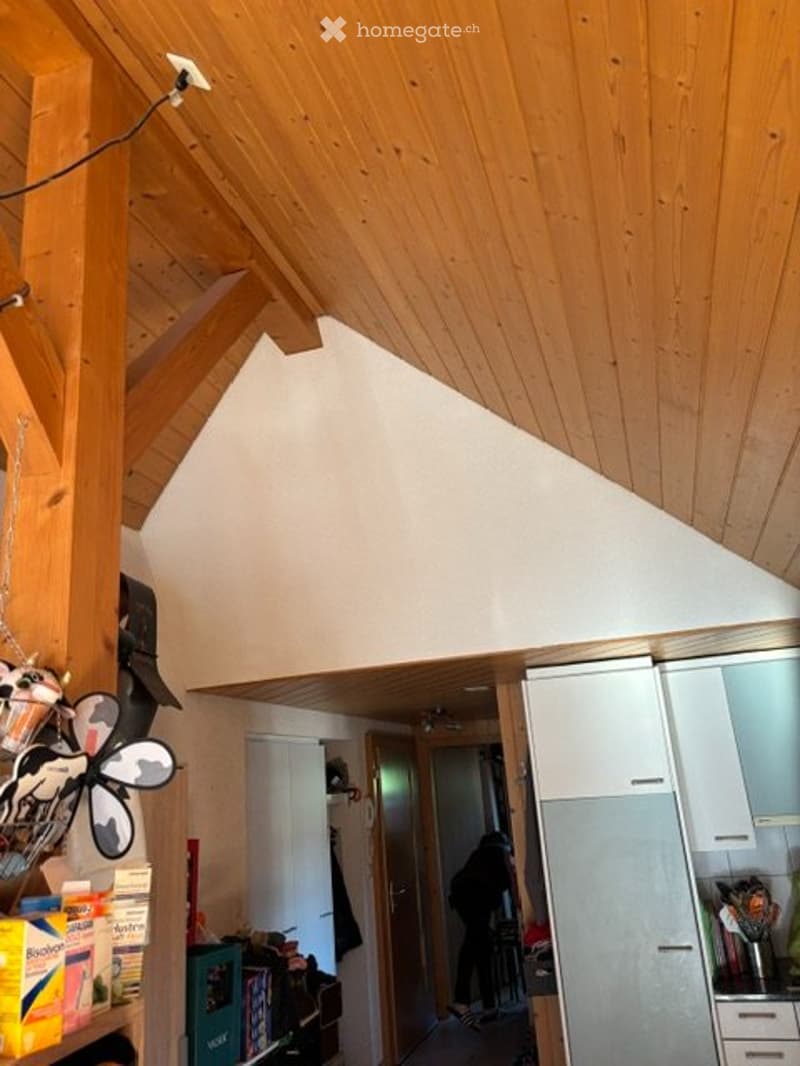 zu vermieten charmante, spezielle 3 Zimmer-Wohnung (3)