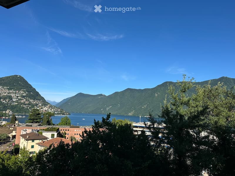 Cerco un subentrante per quadrilocale a Lugano Loreto (3)