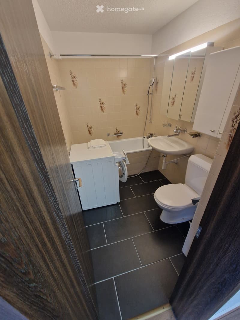 Charmante 1.5 Dachwohnung mit Bergsicht in Thun (5)