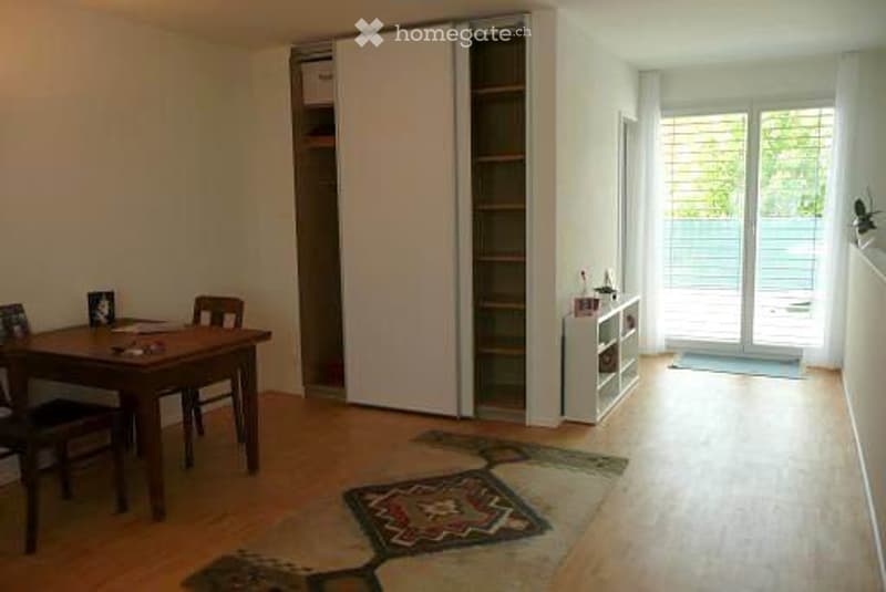 Schöne, möbelierte 1,5 Zi Wohnung mit Dusche, WC, Terrasse (2)