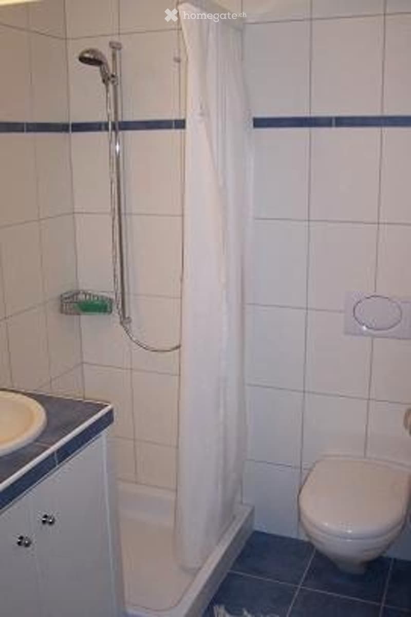 Schöne, möbelierte 1,5 Zi Wohnung mit Dusche, WC, Terrasse (4)