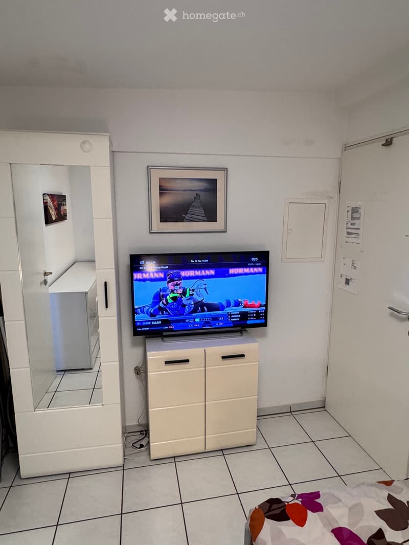 Möblierte 1 Zimmerwohnung (9)