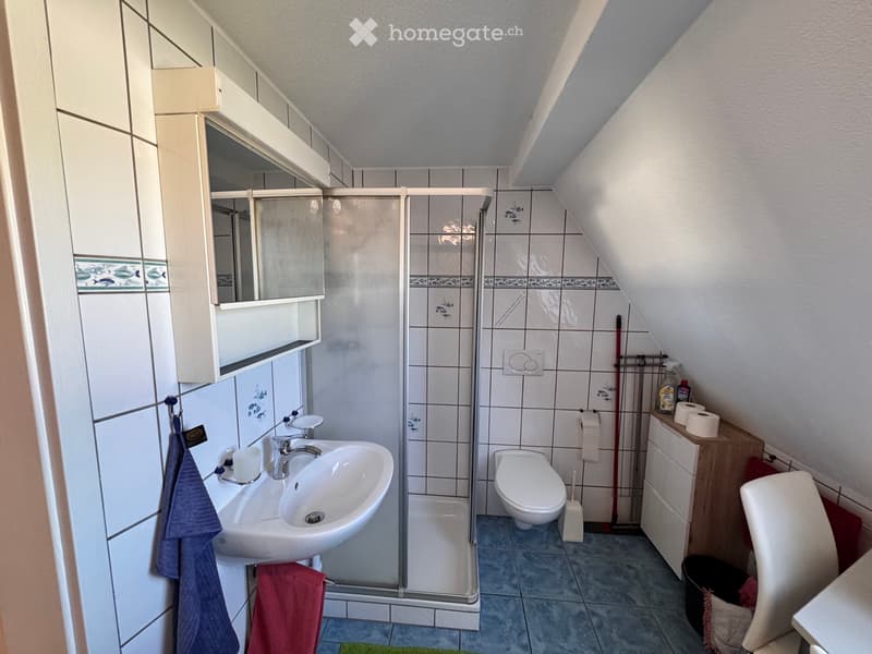 Möblierte 1 Zimmerwohnung (5)