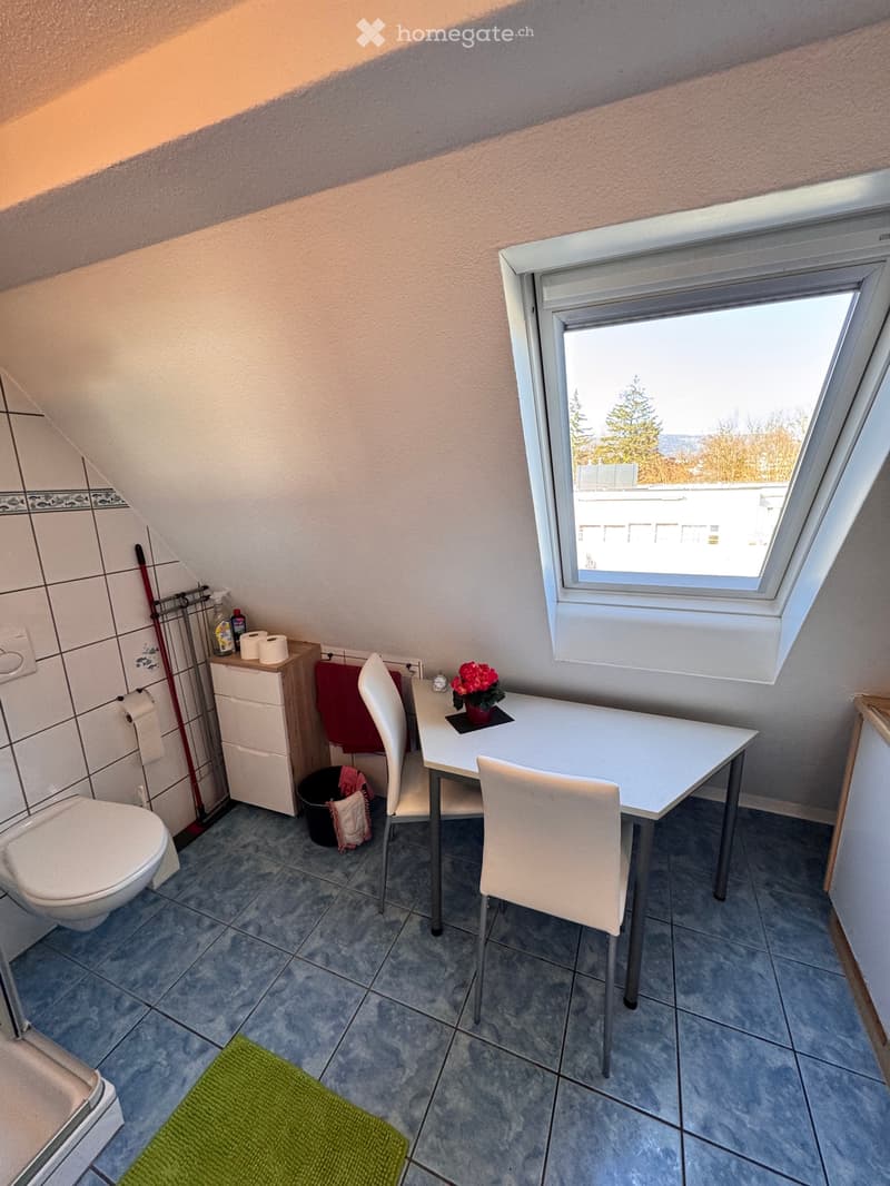 Möblierte 1 Zimmerwohnung (7)