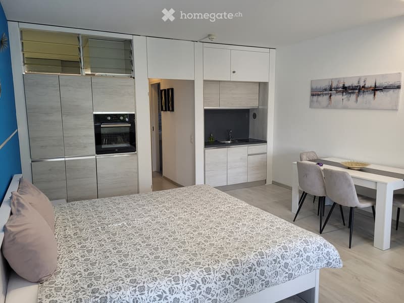 Schöne 2 Zi. Whg. in der Residenza Lago di Lugano - Bissone (3)