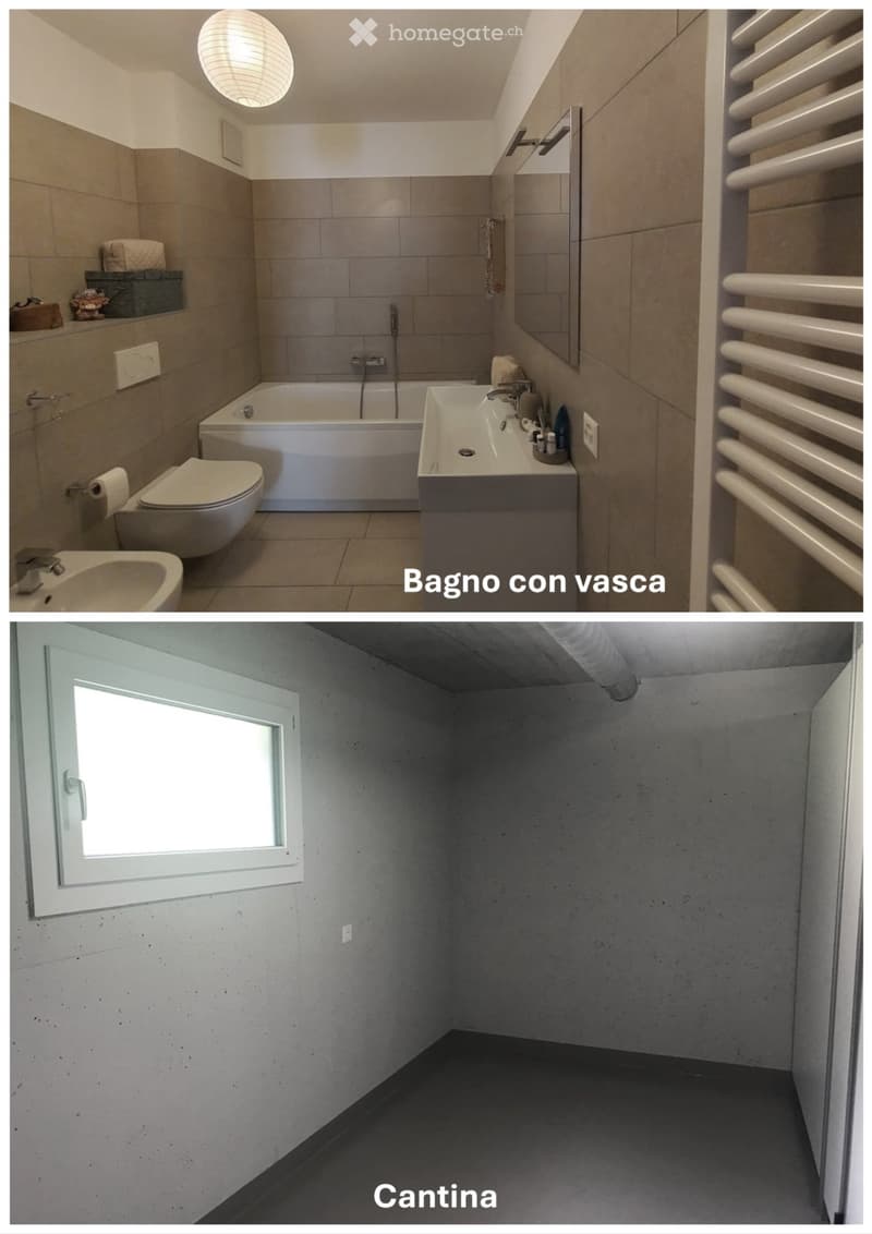 BIASCA - 4.5 locali con terrazza e spazio esterno privato (5)