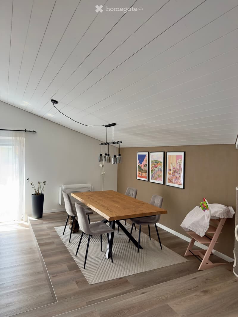 Splendido e luminoso attico 4.5 locali con finiture moderne (1)