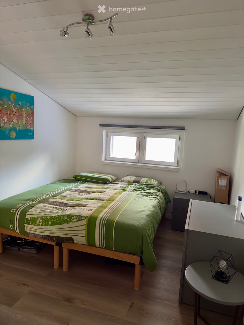 Splendido e luminoso attico 4.5 locali con finiture moderne (4)