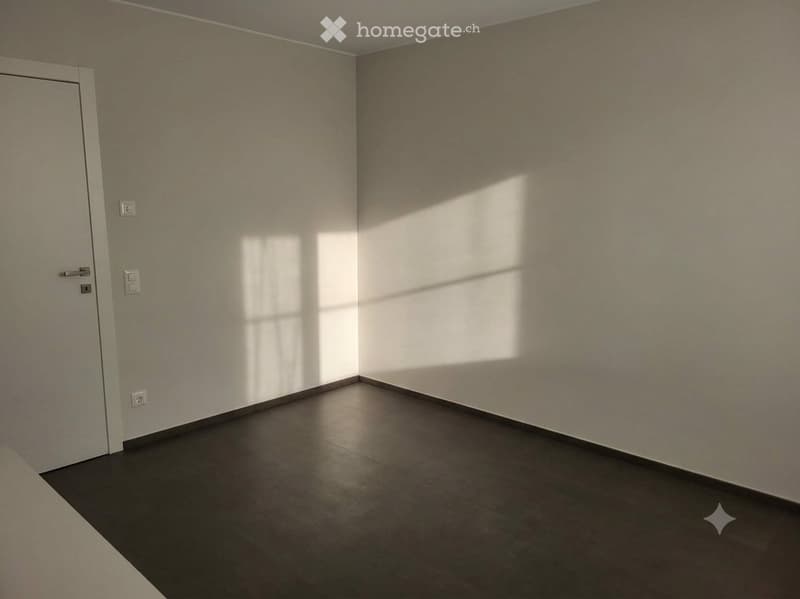3.5 locali con giardino a Mendrisio, subentrante cercasi (9)