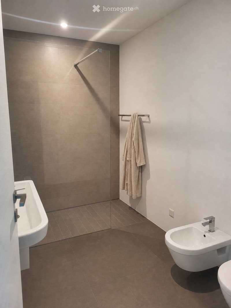 3.5 locali con giardino a Mendrisio, subentrante cercasi (13)