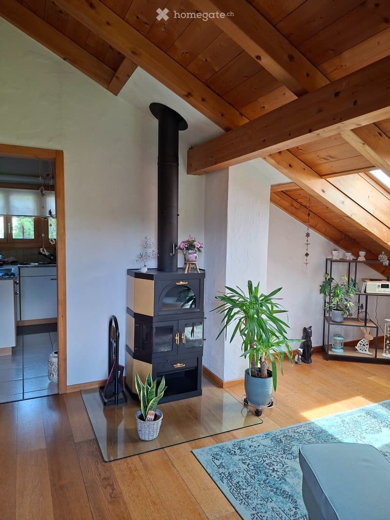 Dachwohnung (2)