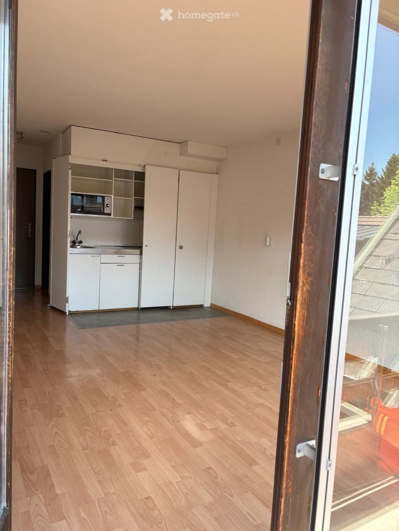 1-Zimmer-Wohnung (2)