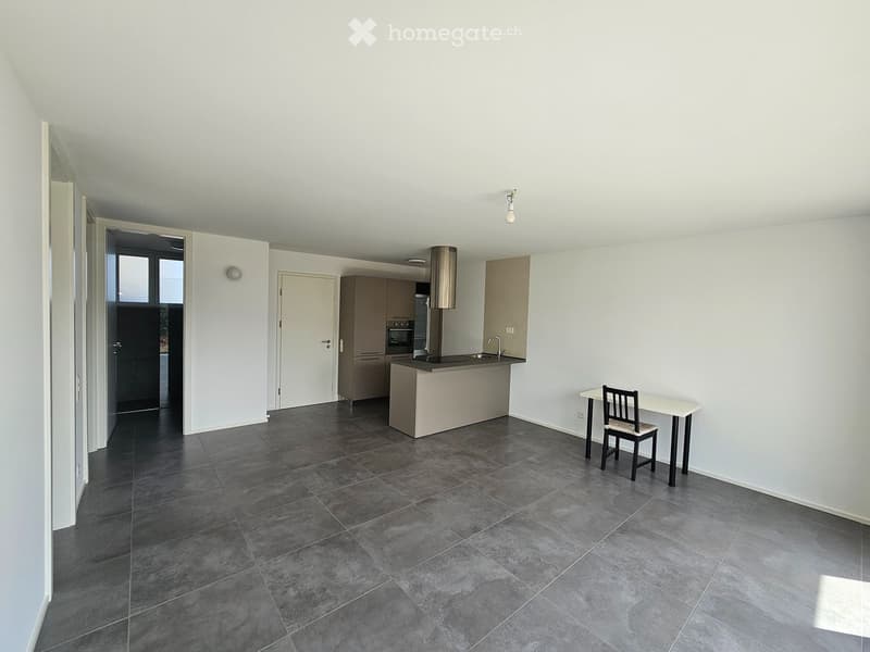 Appartamento moderno al pian terreno 3.5 locali con giardino (4)