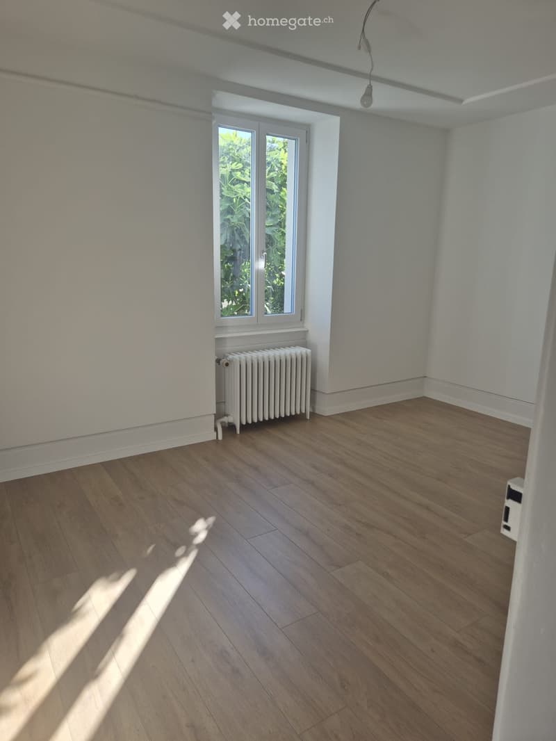 Charmante 3-Zimmer im EG (4)