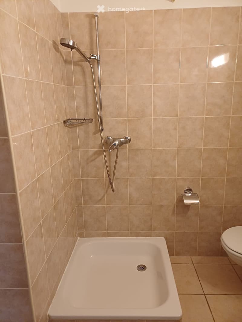 Vezio-Alto Malcantone: affittasi monolocale (5)