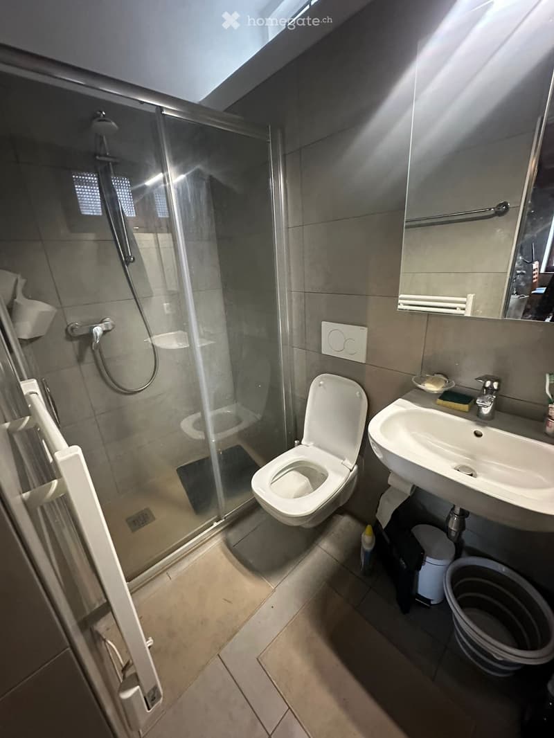 Duplex 55 m² con vista lago CHF 1000/mese (2)
