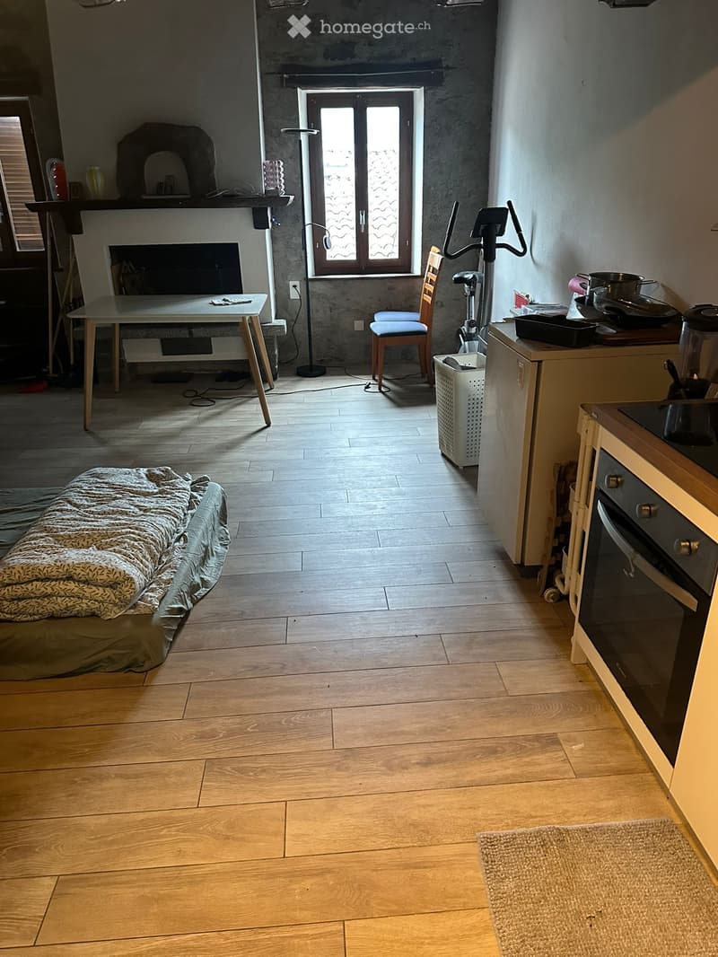 Duplex 55 m² con vista lago CHF 1000/mese (3)