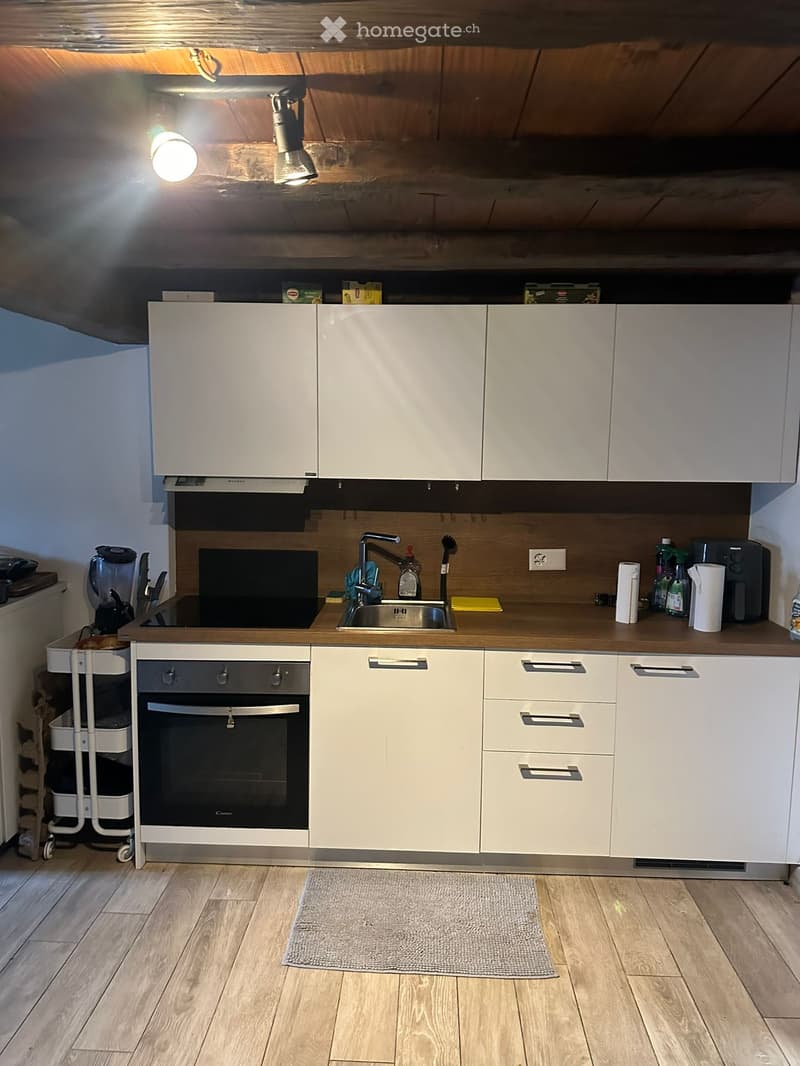 Duplex 55 m² con vista lago CHF 1000/mese (1)