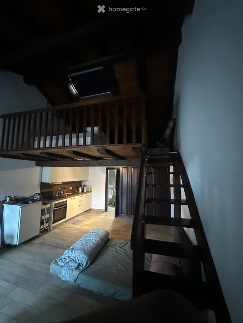 Duplex 55 m² con vista lago CHF 1000/mese (4)