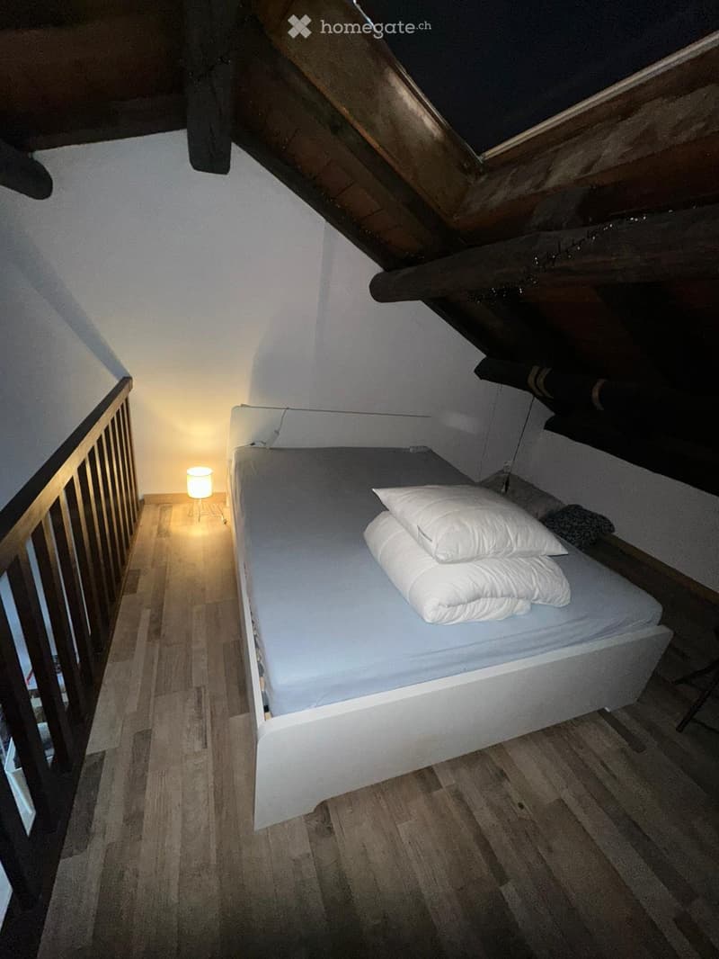 Duplex 55 m² con vista lago CHF 1000/mese (5)