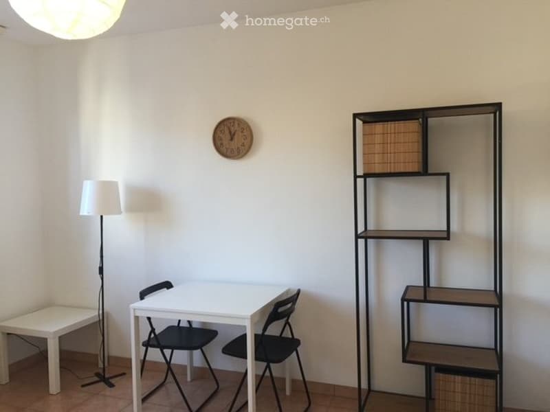 Bello studio 1.5 locali a due passi da USI e SUPSI (1)