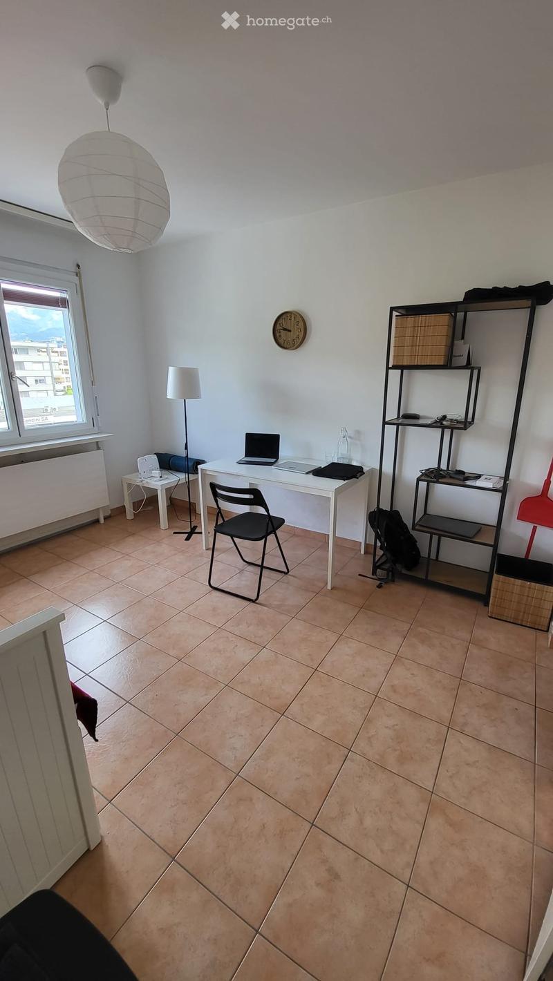 Bello studio 1.5 locali a due passi da USI e SUPSI (5)