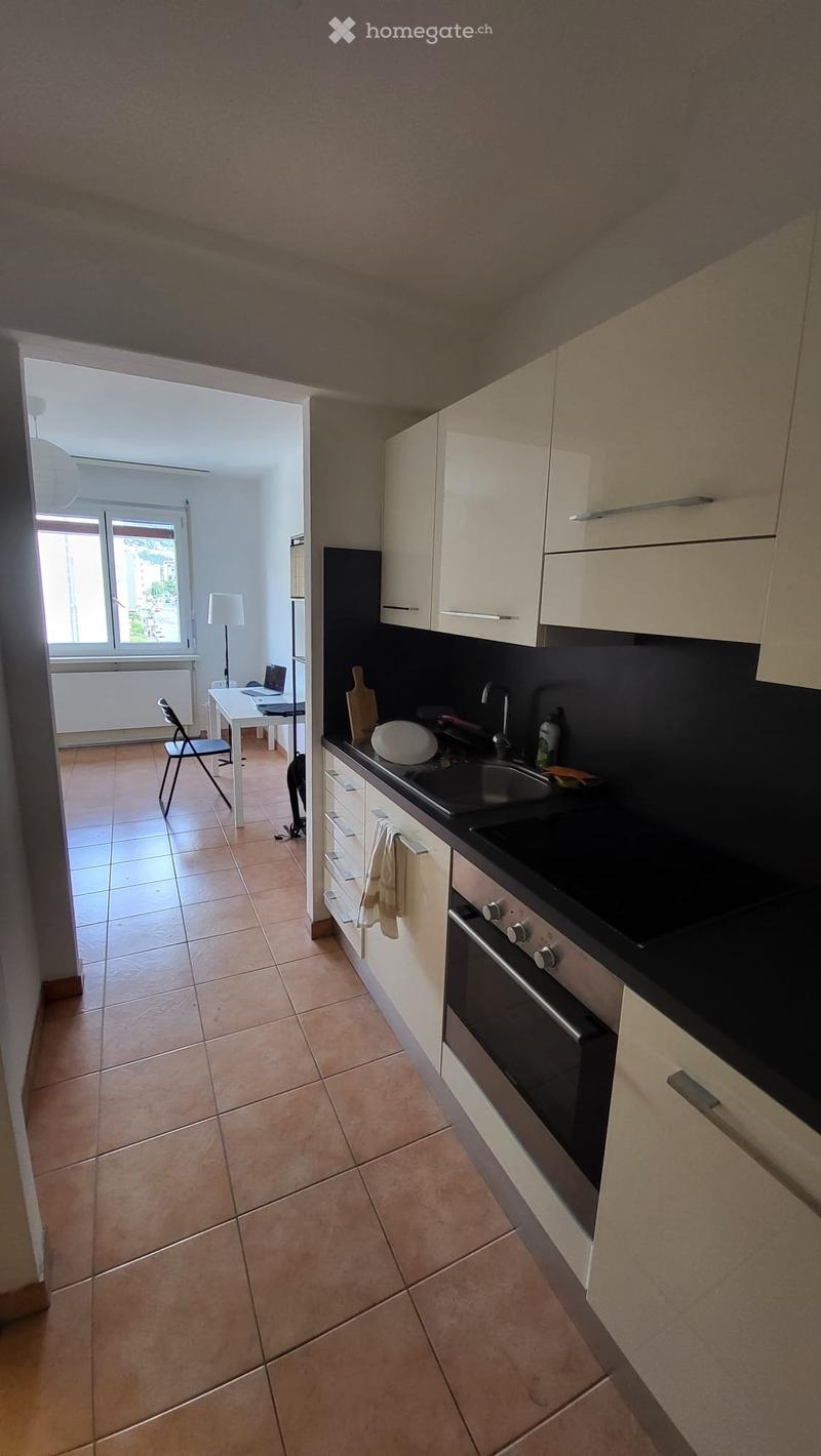 Bello studio 1.5 locali a due passi da USI e SUPSI (2)