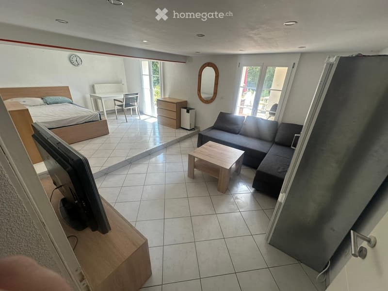 Wohnstudio mit grosser Terrasse (1)