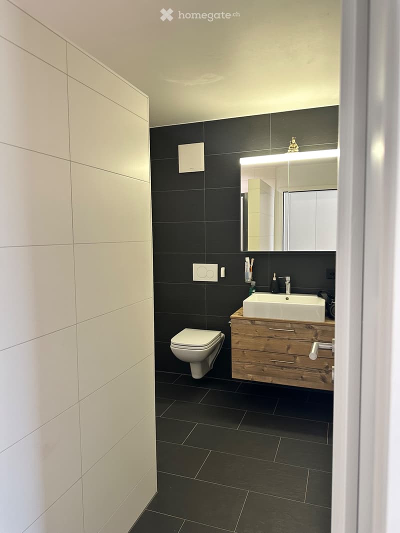 Jolie appartement 2,5 pièce a louer (5)