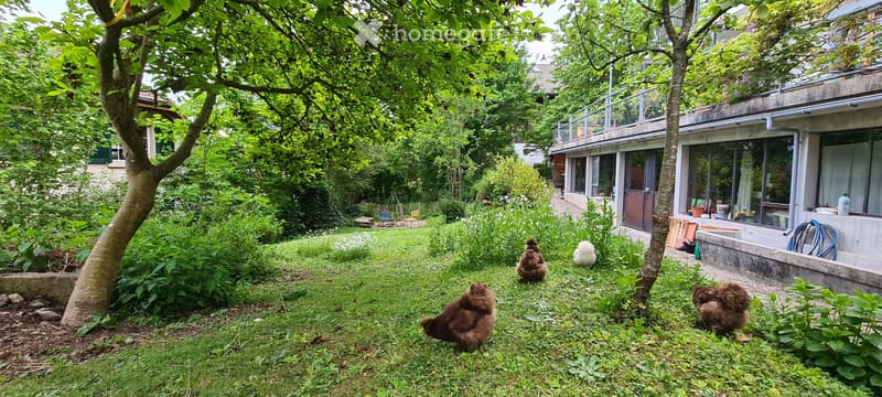 Charmante Dachwohnung (zur Untermiete) mit Hühner-Glück (5)