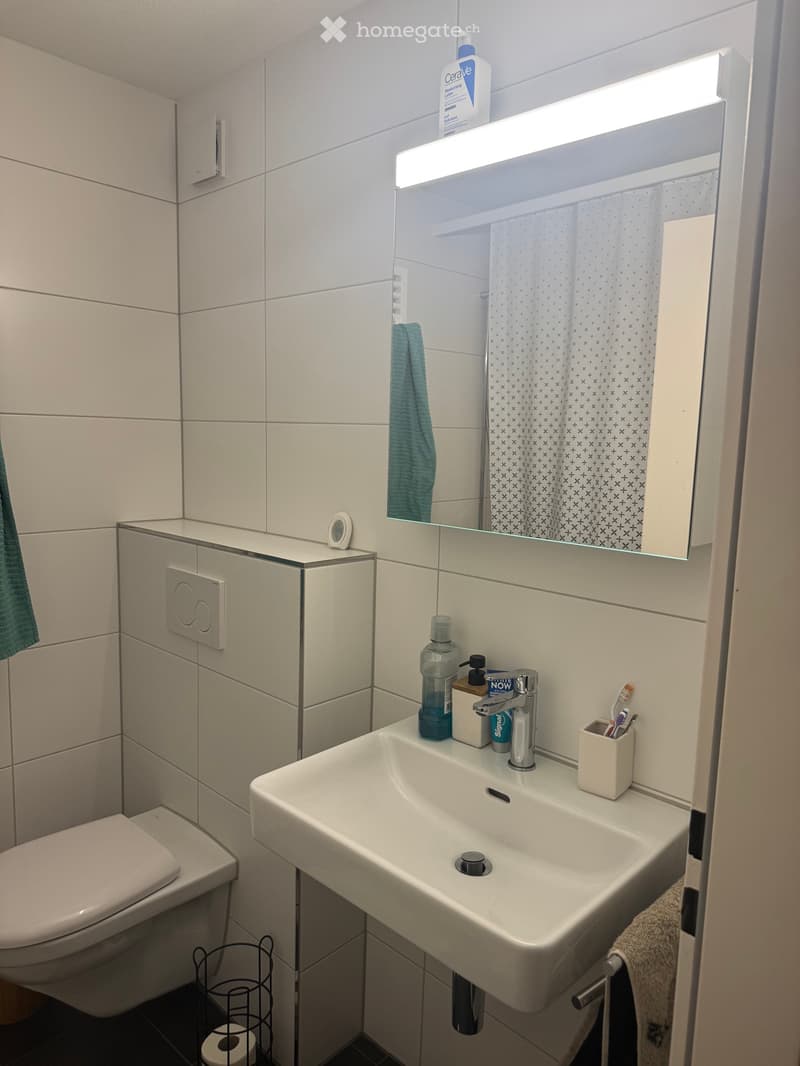 Charmante 4.5-Zimmer-Altbauwohnung mit Balkon in Hergiswil (2)