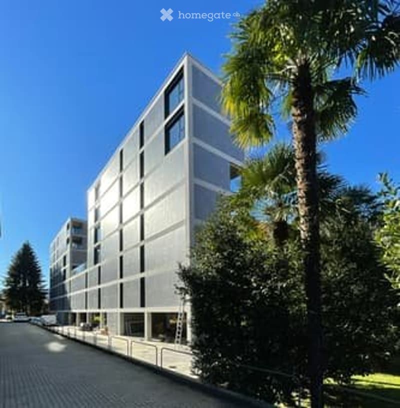 Nuova costruzione, appartamenti in affitto. (1)