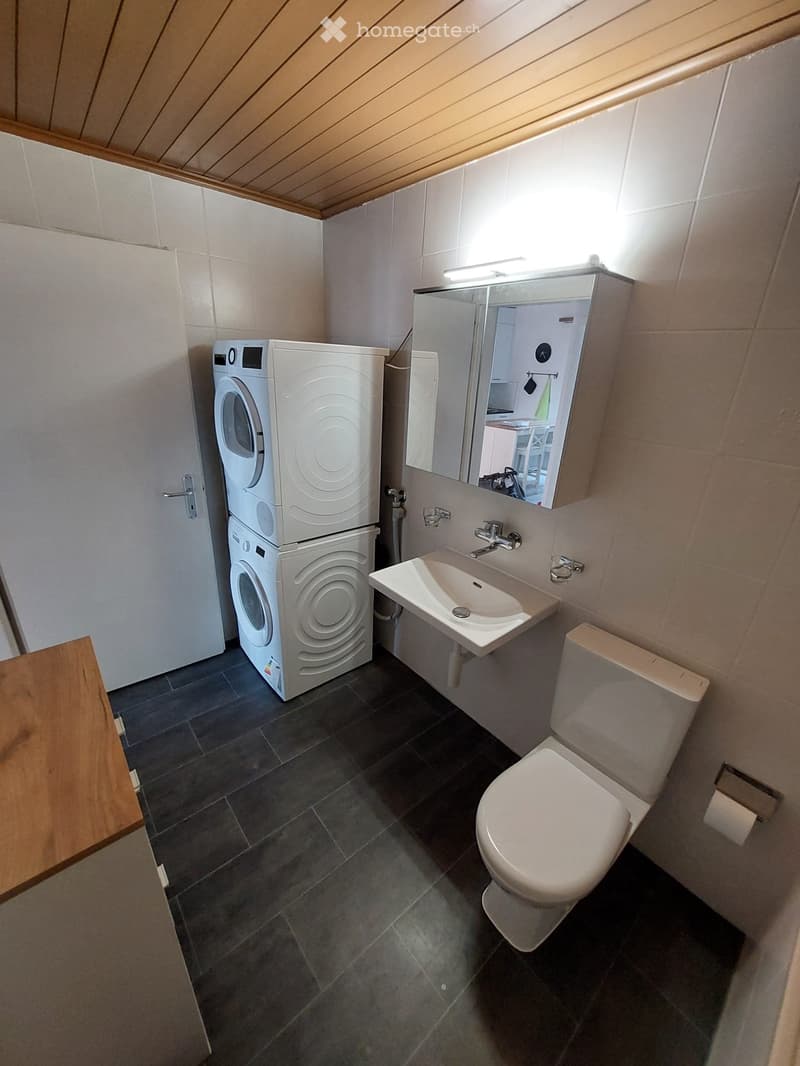 Möblierte 3.5 Zimmer Wohnung im Zentrum von Biel (10)