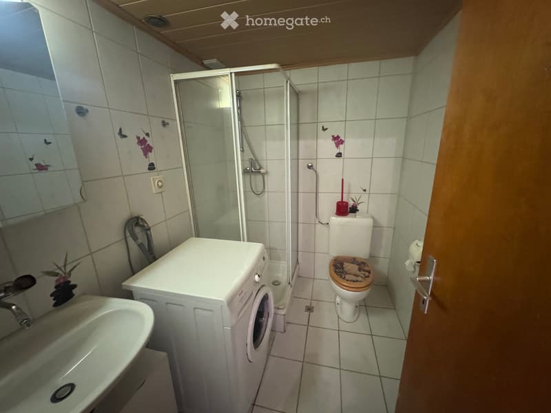 4.5 Zimmer Wohnung (5)