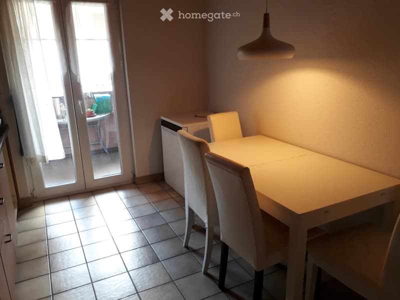 Appartement meublé Grand volume, calme et lumineux (4)