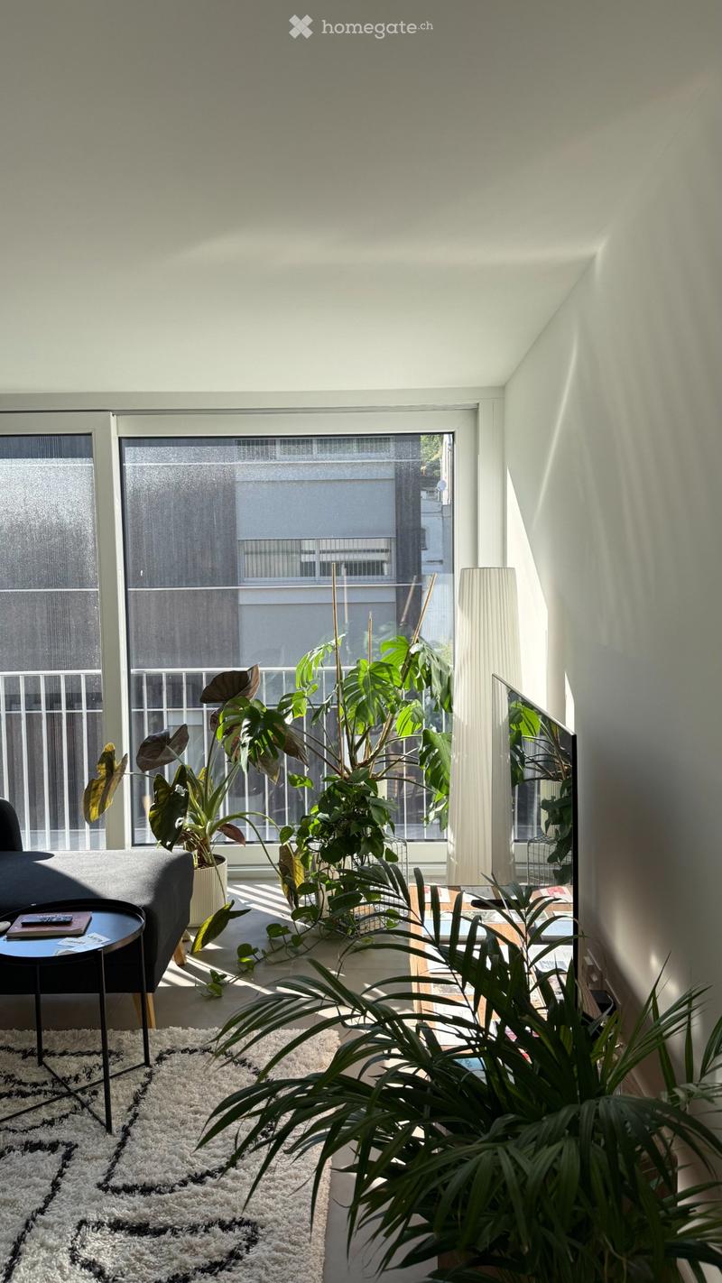 Cerco subentrante per appartamento 2.5 a Grono (GR) (8)