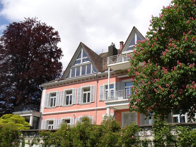 Nachmieter gesucht zum 01.09. für Maisonette in Neuhausen (3)