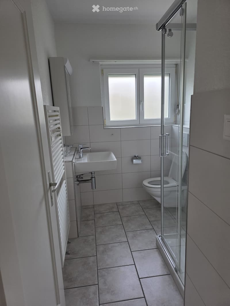 Charmante 4.5 Zimmer-Wohnung mit direktem Zugang zum Garten (5)
