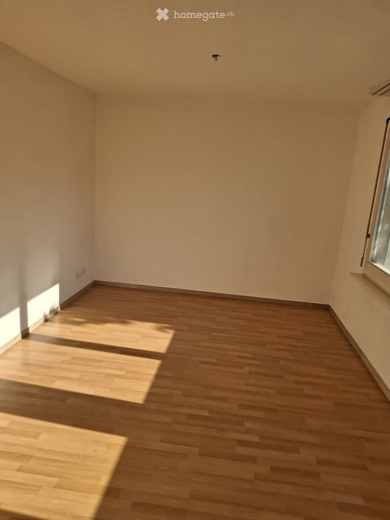 Schöne 3,5 Zimmer Wohnung zu vermieten (2)