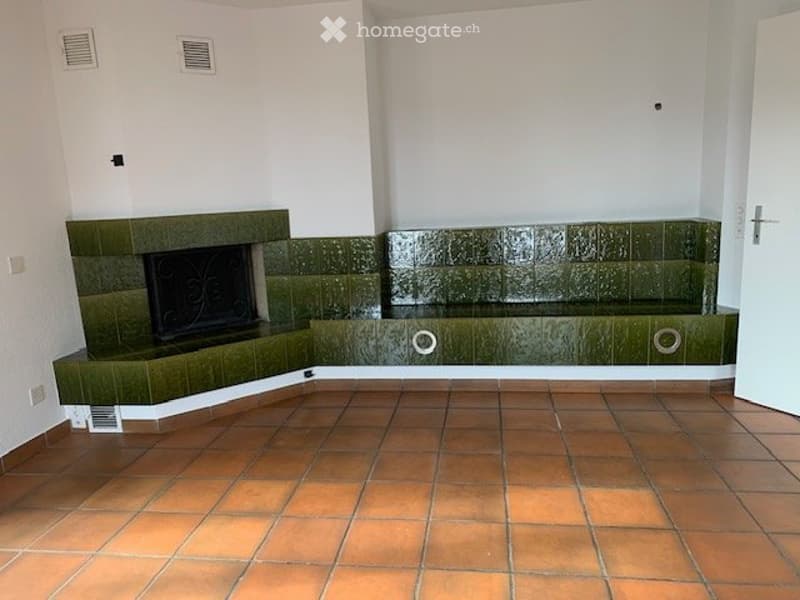 Moderne Wohnung mit klassischen Elementen (4)