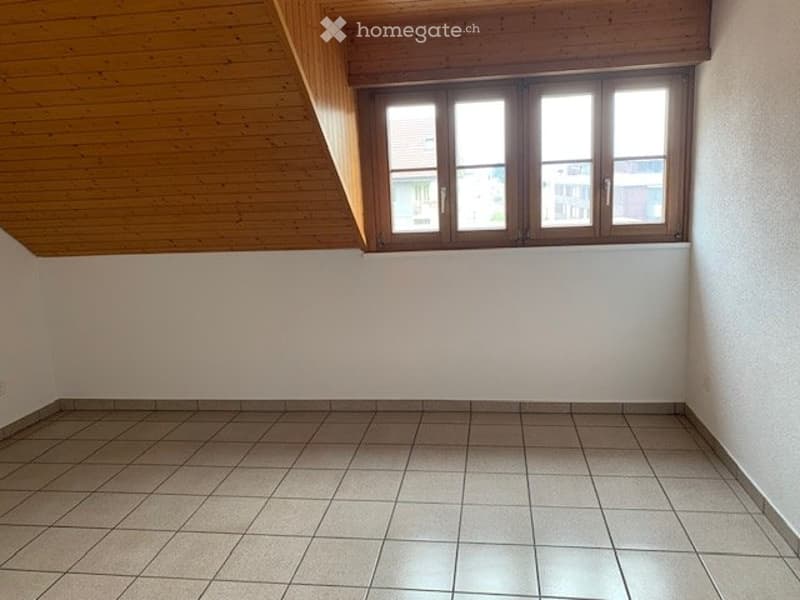 Moderne Wohnung mit klassischen Elementen (5)
