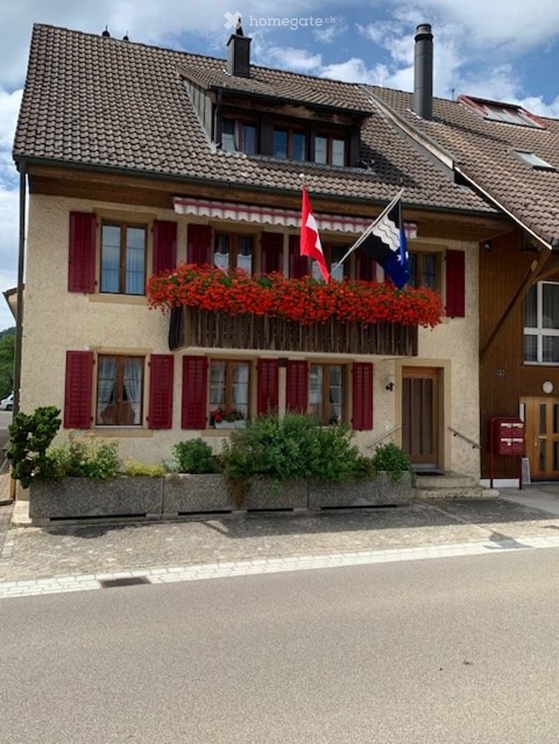 Moderne Wohnung mit klassischen Elementen (2)