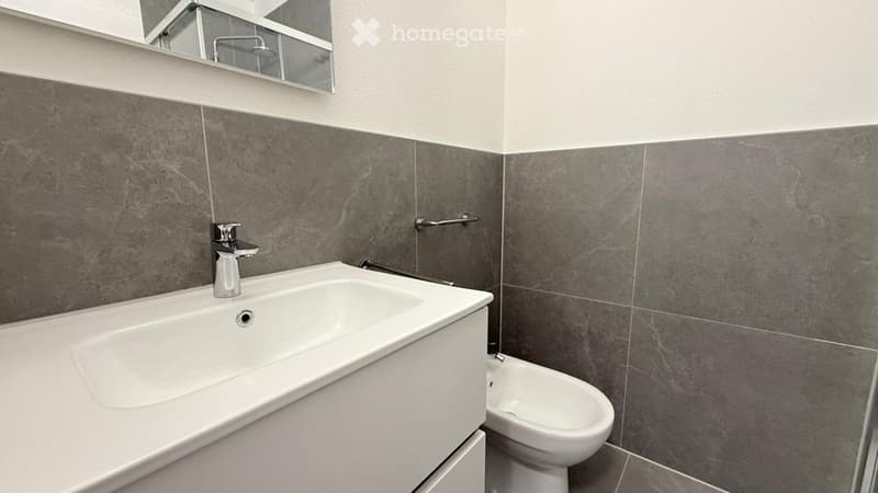 1.5 locali moderno e ristrutturato a Coldrerio (3)