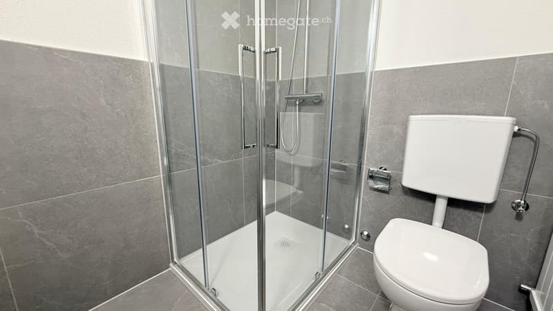 1.5 locali moderno e ristrutturato a Coldrerio (4)