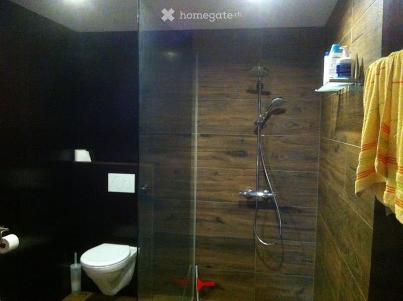 3.5 Zimmer Wohnung (2)