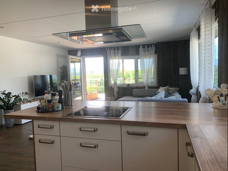 3.5 Zimmer Wohnung (1)