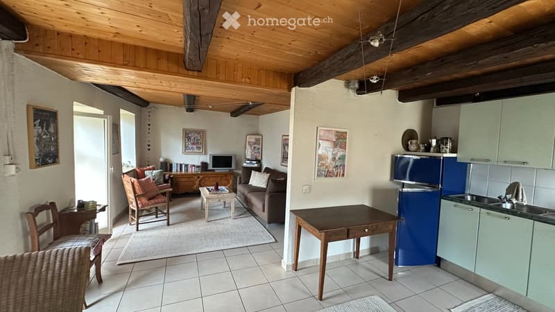 Casa ticinese con due appartamenti ristrutturati (3)